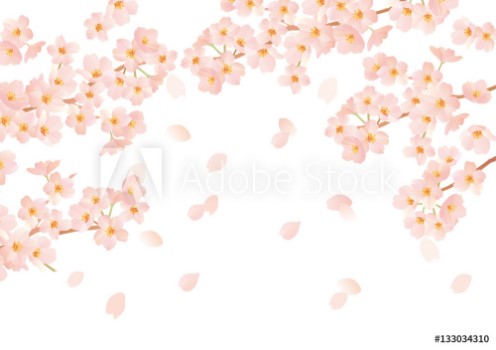 Picture of 133034310